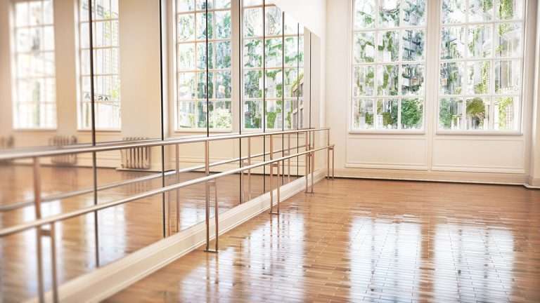 Professional Mirror Systems